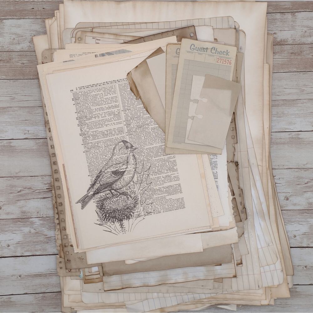 Dyed Paper Seconds: Imperfect Eco Dyed Paper Mix with Dictionary Prints